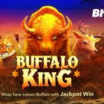 Buffalo King nextspin slots