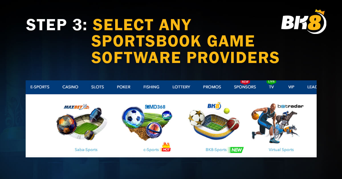 Select-Any-Sportsbook-Game-Software-Providers