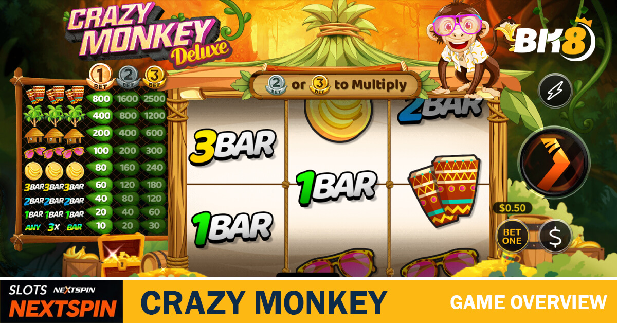 Crazy Monkey Overview