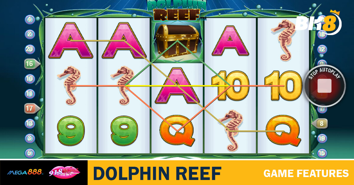 Dolphin Reef Game Features