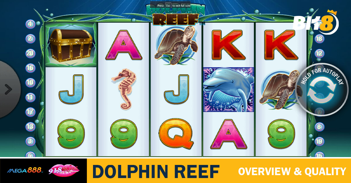 Dolphin Reef Game Overview & Quality